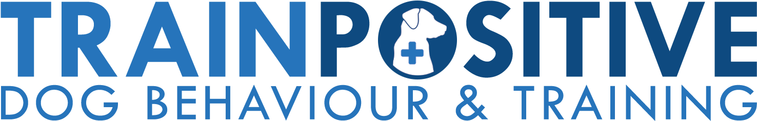 Andrew Hale Dog Training - Zambian Music Blog (1523x270)