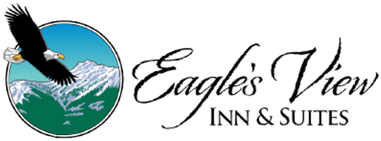 Eagle's View Inn & Suites - Embroidery Basics: A Needleknowledge Book (1400x500)