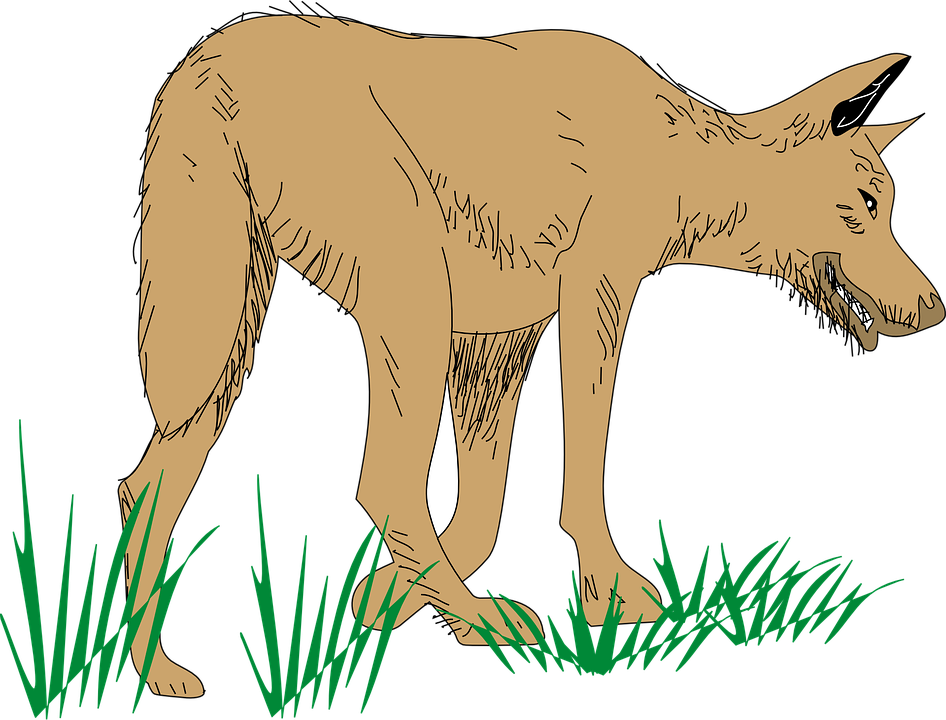 Dog Walking Cliparts 20, Buy Clip Art - กราฟฟิก เวคเตอร์ การ์ตูน หมาป่า (946x720)