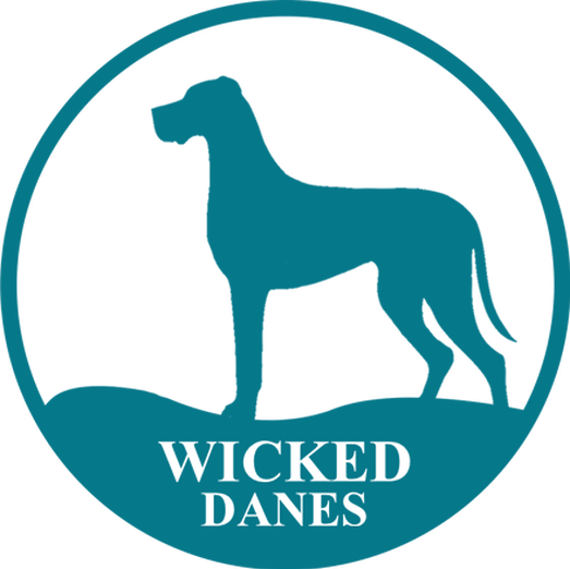 Great Dane, Puppy - Waters Is It The Fifth (523x522)