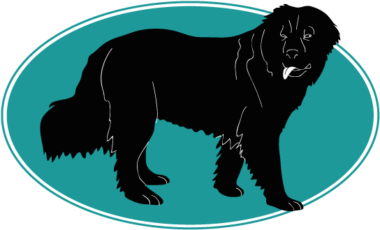 Assur O'poil, Assurance Chien Vous Parle Du English - Moscow Water Dog (754x394)