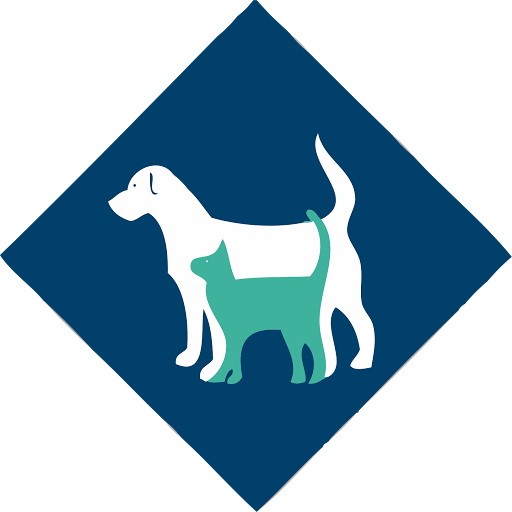 Verbouwing Icoon (512x512)