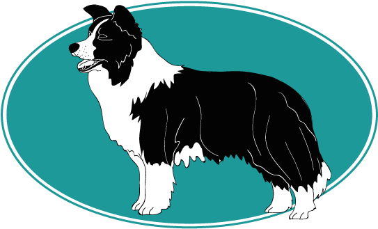 Affectueux Et Protecteur, Le Chien Du Leonberg Est - Shetland Sheepdog (754x394)