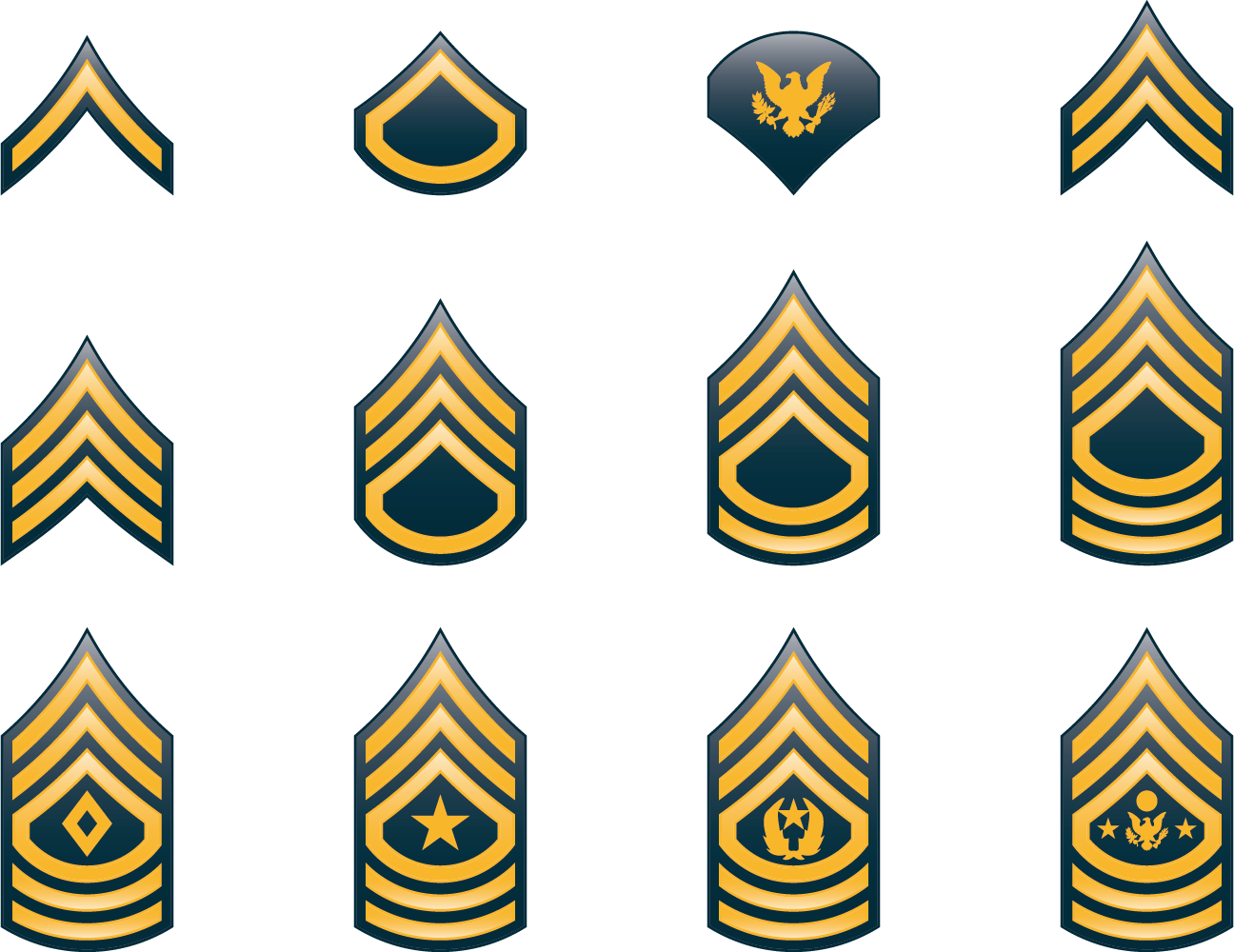 Military Rank United States Army Enlisted Rank Insignia - Military Rank Clipart (1296x1000)