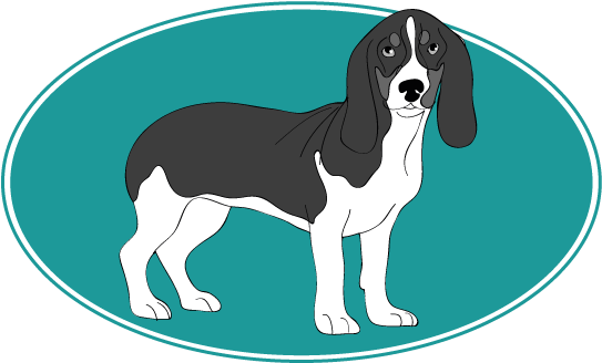 Chien Courant Bernois - Companion Dog (755x395)