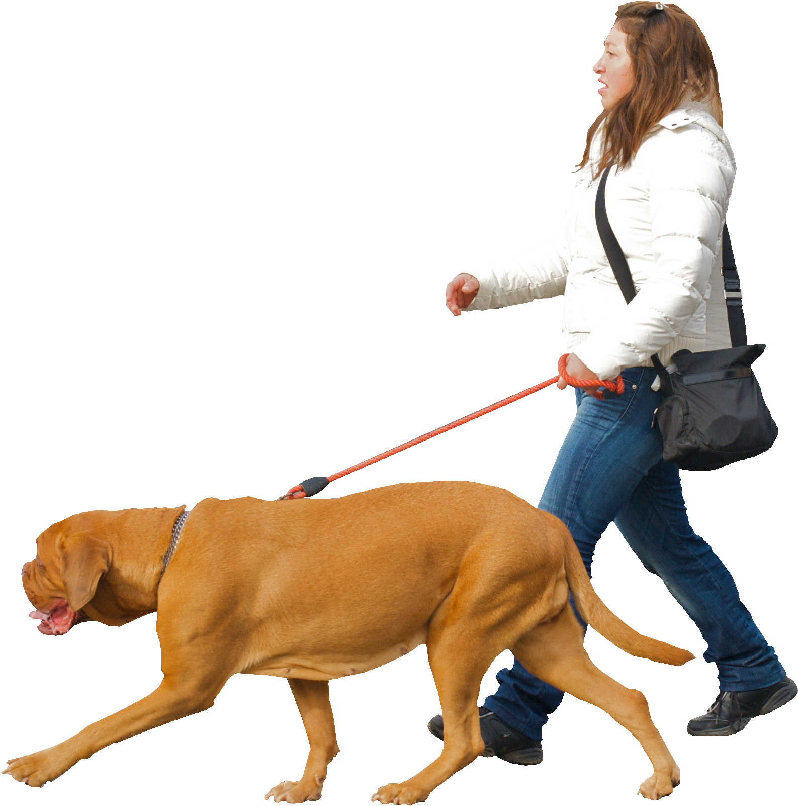 Pix - - Backgrounds V - 7 - 3 Png, - Dog Walking Png (1600x1600)