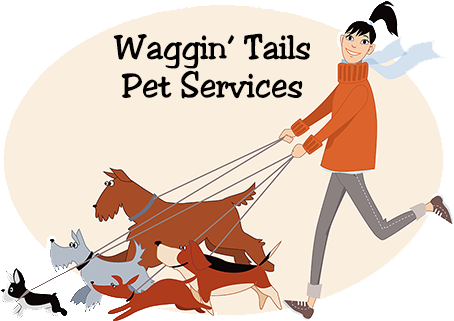 Everything Will Make Perfect Sense (514x320)