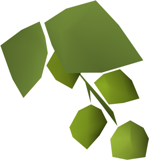 Asgarnian Hops Detail - Wiki (515x554)