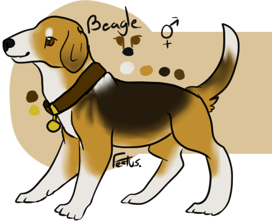 Chow Chow Belongs To Ceselspeaker - Harrier (536x437)