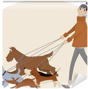 Young Woman Walking A Bunch Of Dogs Wall Mural • Pixers® - Dog Walking Business Ideas (400x400)
