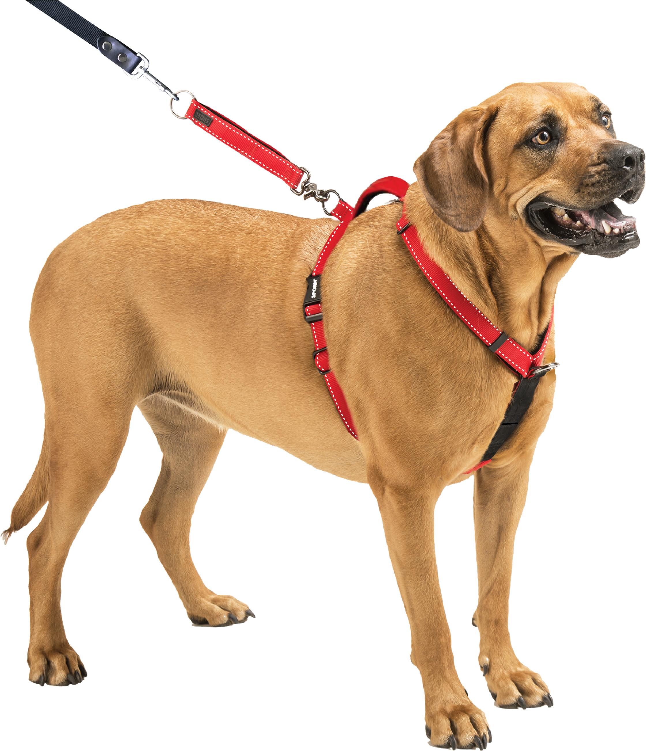 Sporn Ultimate Control Harness Walmart Com Best Dog - Put On Dog Harness (2420x2705)