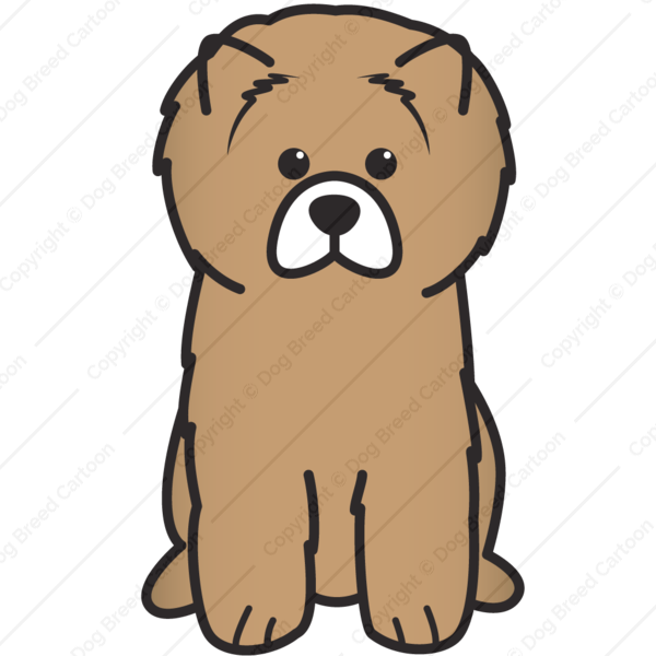 Face Of Red Chow-chow Dog - Cartoon Border Terrier (600x600)