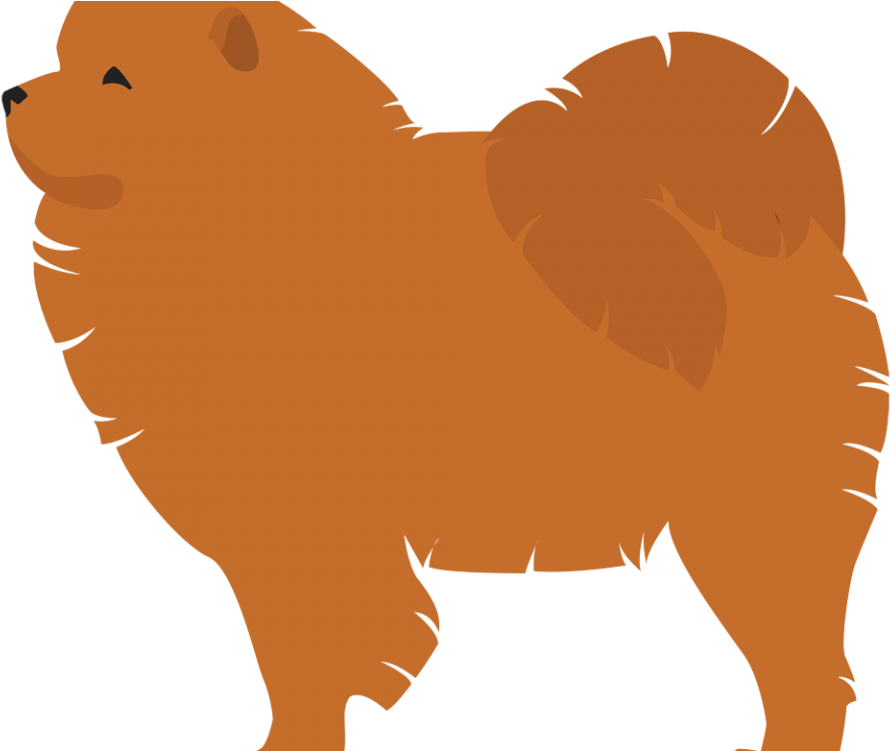 Chow Chow - Pomeranian (960x750)