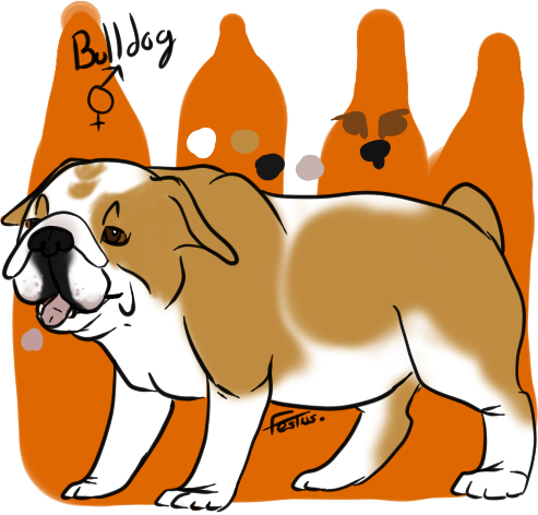 Chow Chow Belongs To Ceselspeaker - Toy Bulldog (493x472)