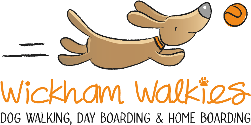Wickham Walkies Dog Walking, Dog Boarding & Home Boarding - Dog Walking (900x451)