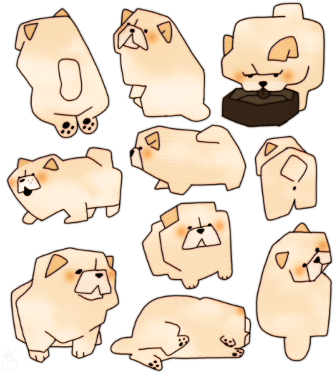 How Are Chow Chows Real It's Puffie - How Are Chow Chows Real It's Puffie (500x530)