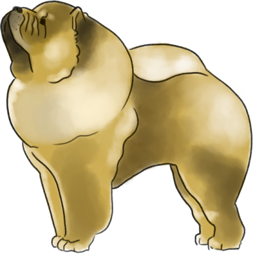 “chow Chow ” - “chow Chow ” (500x502)