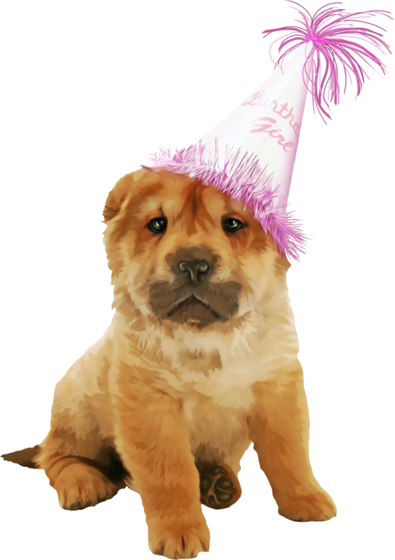 Puppy Dog Breed Chow Chow Clip Art - Puppy Dog Breed Chow Chow Clip Art (565x800)