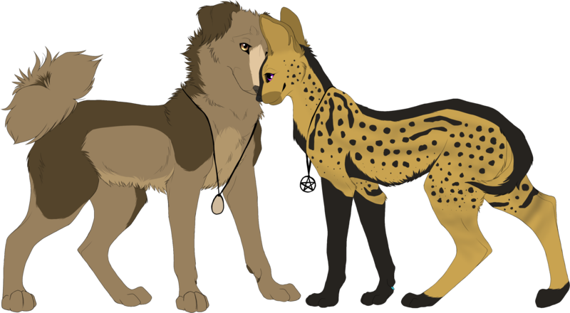 Dog And Cat Love Drawing With Dog And Cat Cartoon Drawings - Cat And Dog Drawings (800x440)