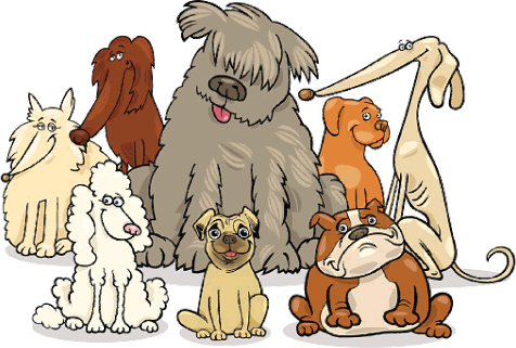 Joyful Bling Dog Gear Is Based Out Of Denver, Colorado - Group Of Cartoon Dogs (476x321)