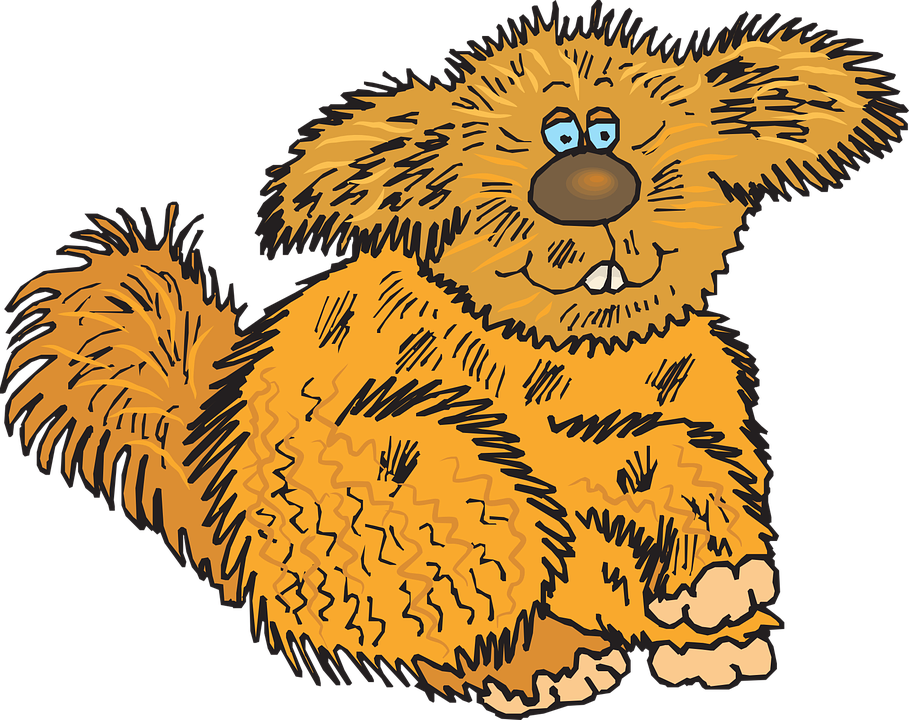 Furry Clipart Fuzzy - Animal With Fur Clipart (909x720)
