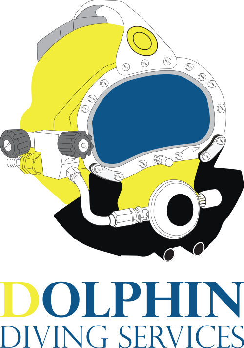 Dolphin Diving Services - Dolphin Diving Services Uae (500x712)