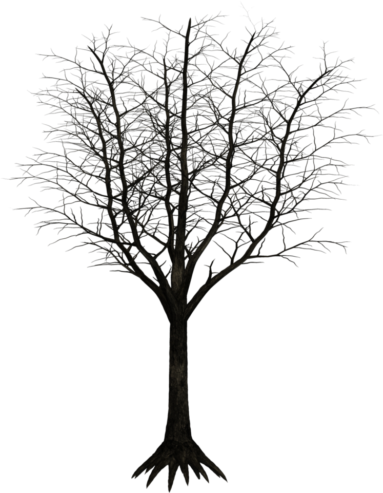 Dark Trees Png Stock 05 By Roy3d On Deviantart - Wooden Tree Png (806x992)