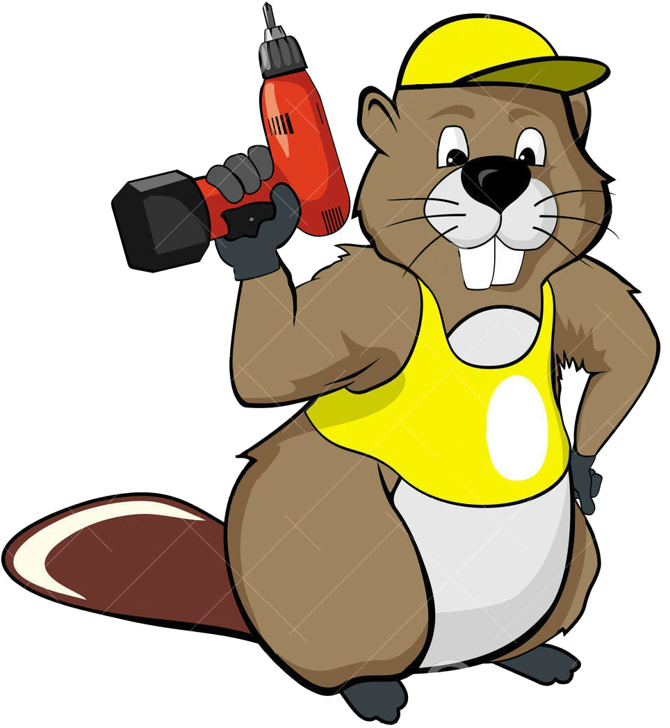 Eurasian Beaver Drawing Cartoon - Eurasian Beaver Drawing Cartoon (1158x1068)