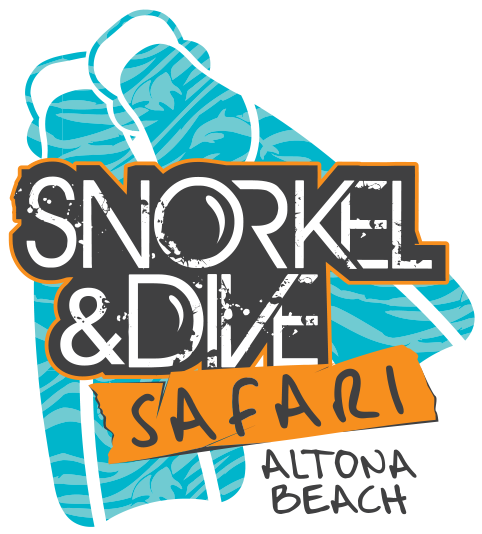 T Pain Booty Work Album (500x553)