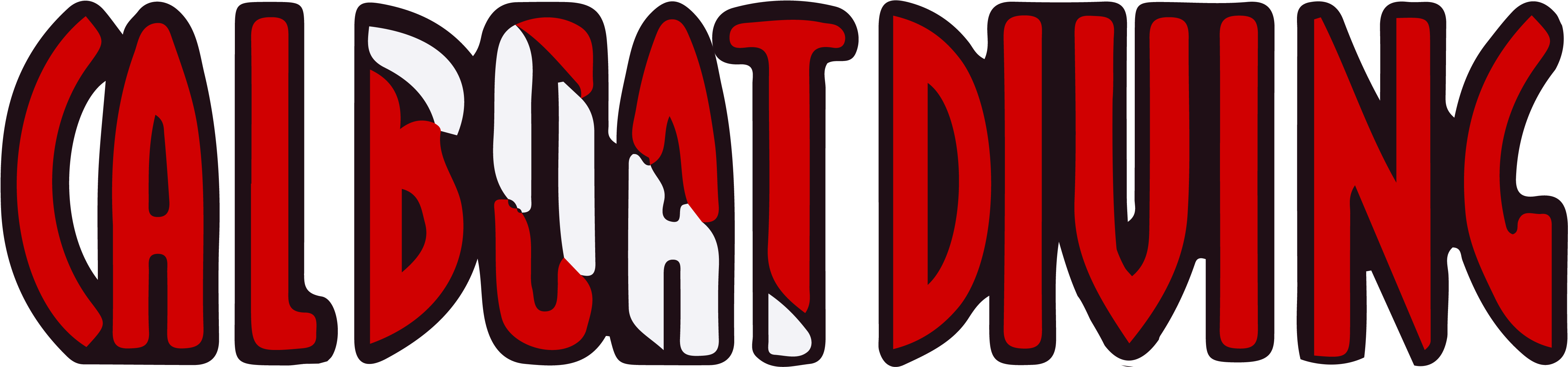 Dive Boat (4630x1095)