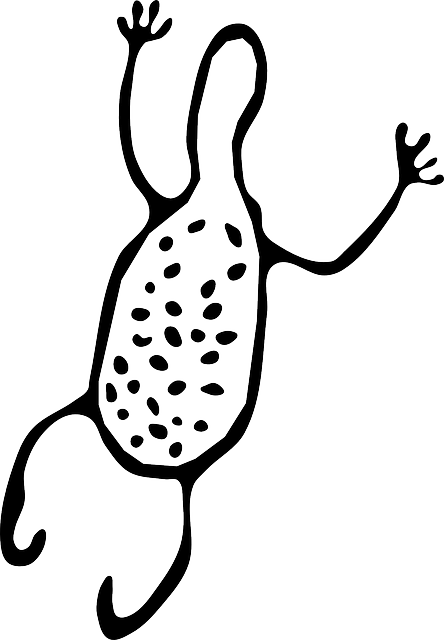 Primitive Petroglyph, Australia, Ancient, Animal, Primitive - Cave Art Clip Art (444x640)