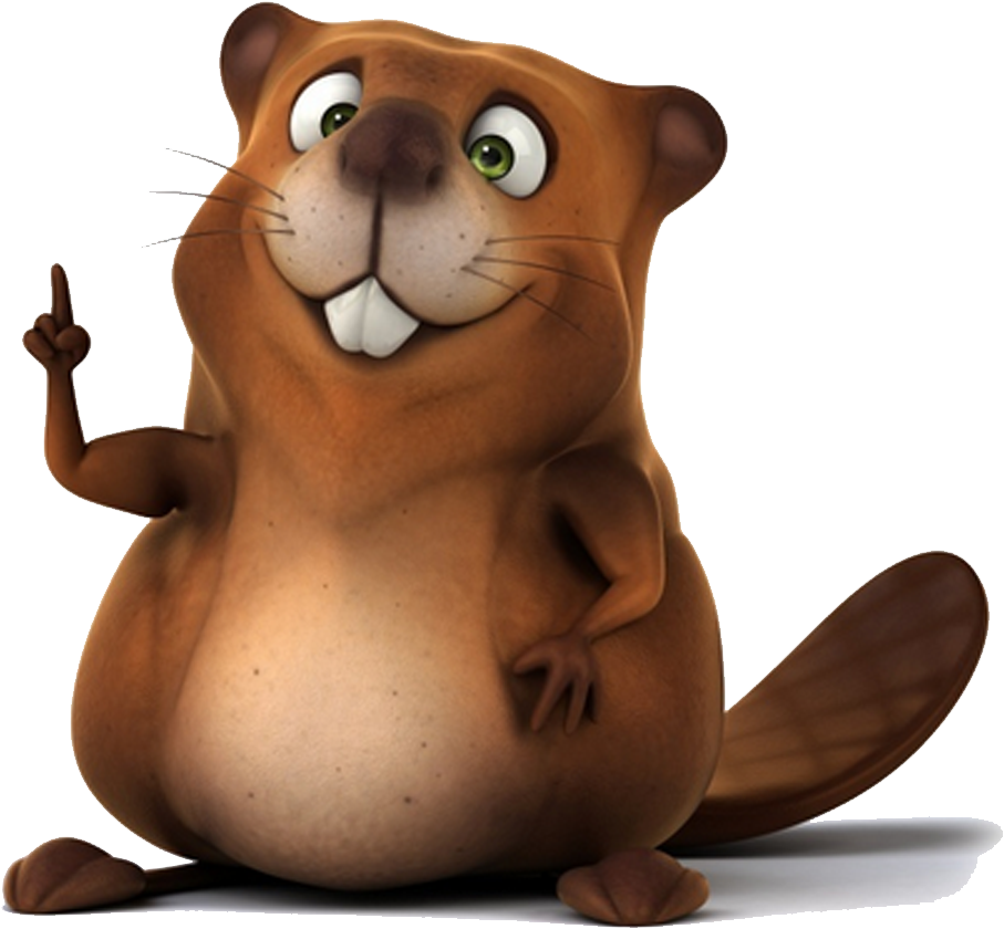 North American Beaver Stock Photography Illustration - North American Beaver Stock Photography Illustration (1000x1000)