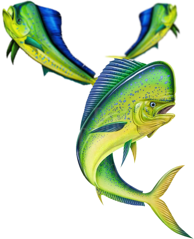 Mahi2 - Mahi X 2 Sticker (rectangle) (672x830)
