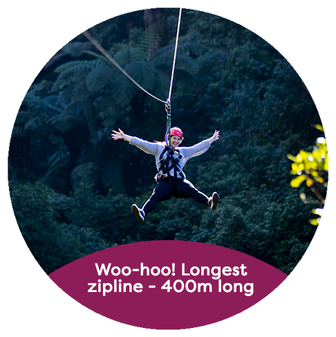 Longest Zipline Rotorua - Rotorua (500x500)