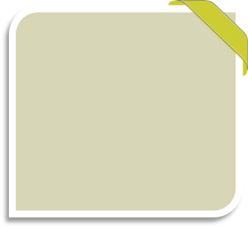 Our Seven Mile Beach Excursions Take You Snorkeling - Our Seven Mile Beach Excursions Take You Snorkeling (362x332)