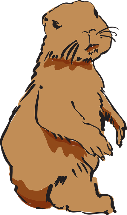 Cartoon Beaver Images 15, - Animals Clipart (425x720)