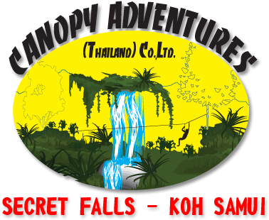 Canopy Adventures Thailand - Graphic Design (430x323)