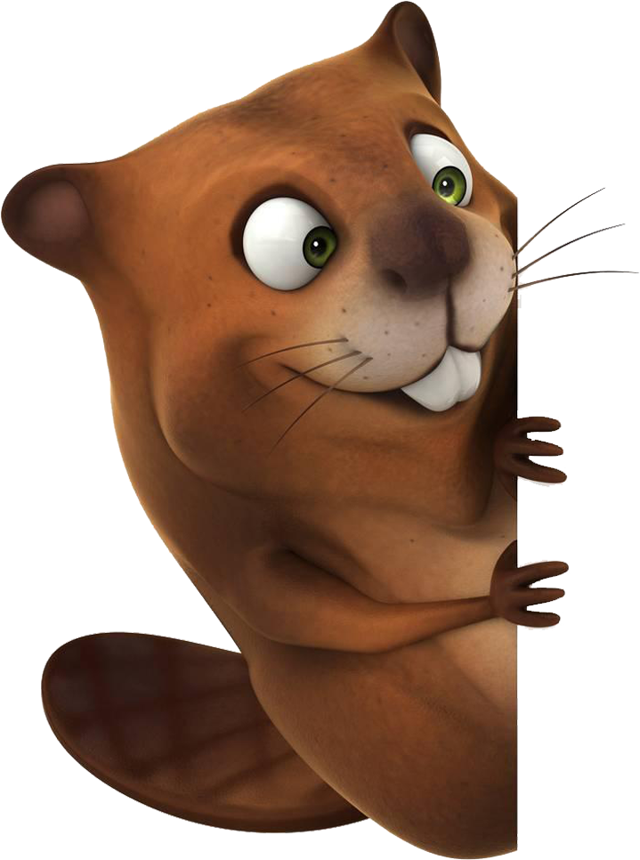 Whiskers Beaver Muskrat Rodent Otter - Whiskers Beaver Muskrat Rodent Otter (781x1000)