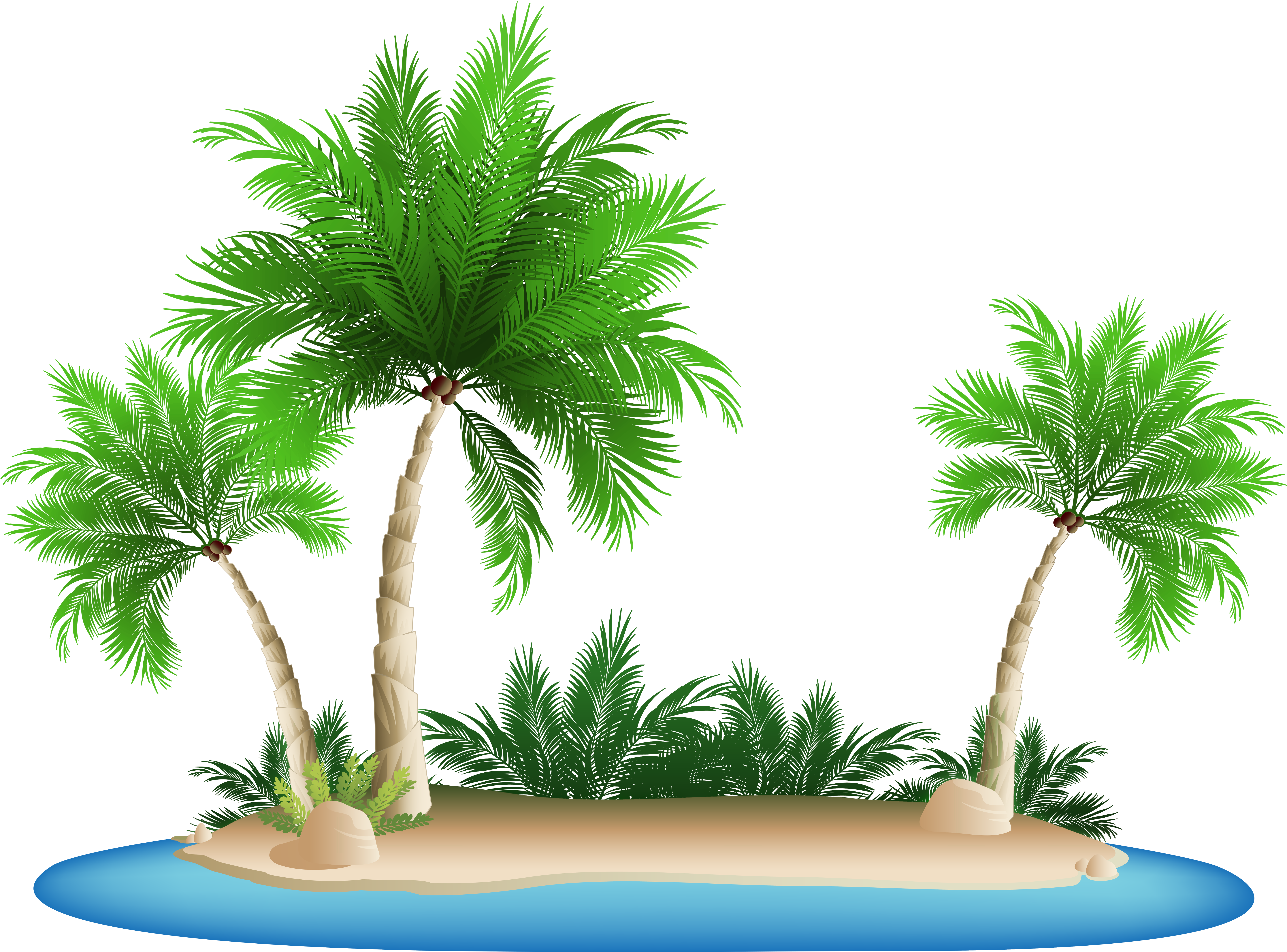28 Collection Of Island Clipart Transparent Background - Palm Tree Beach Clipart (7339x5505)