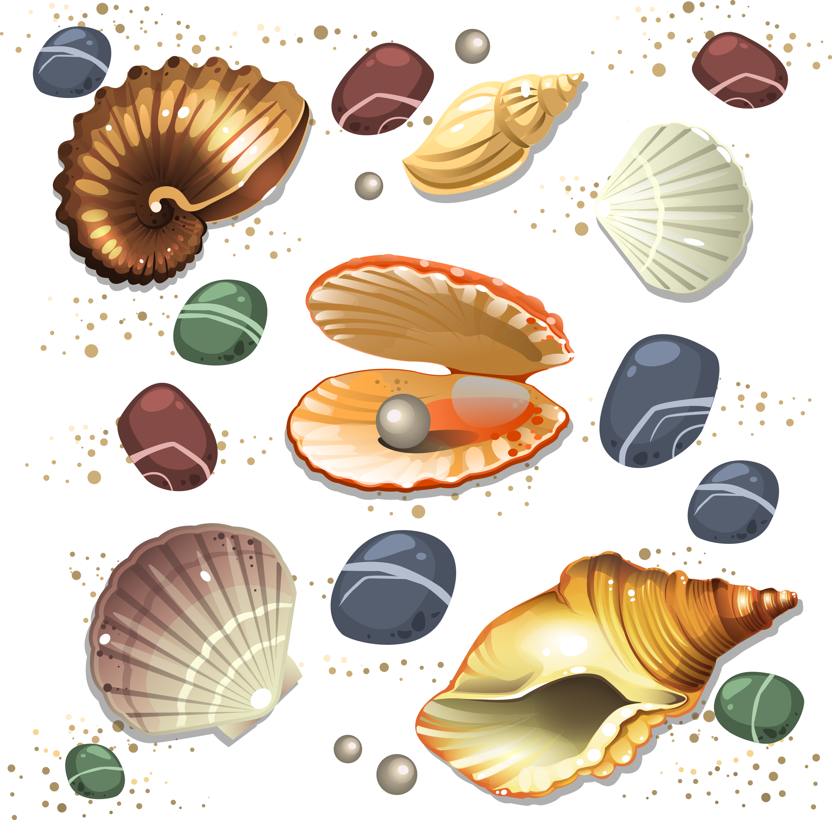 Seashell Conch Scalable Vector Graphics - Sea Shells Vector (2694x2654)