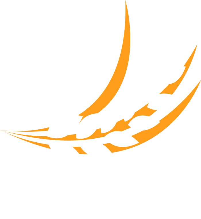 Wheat Graphic - Euclidean Vector (700x760)