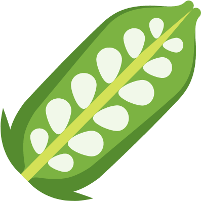 Bean Pea Scalable Vector Graphics Icon - Sesame (528x528)