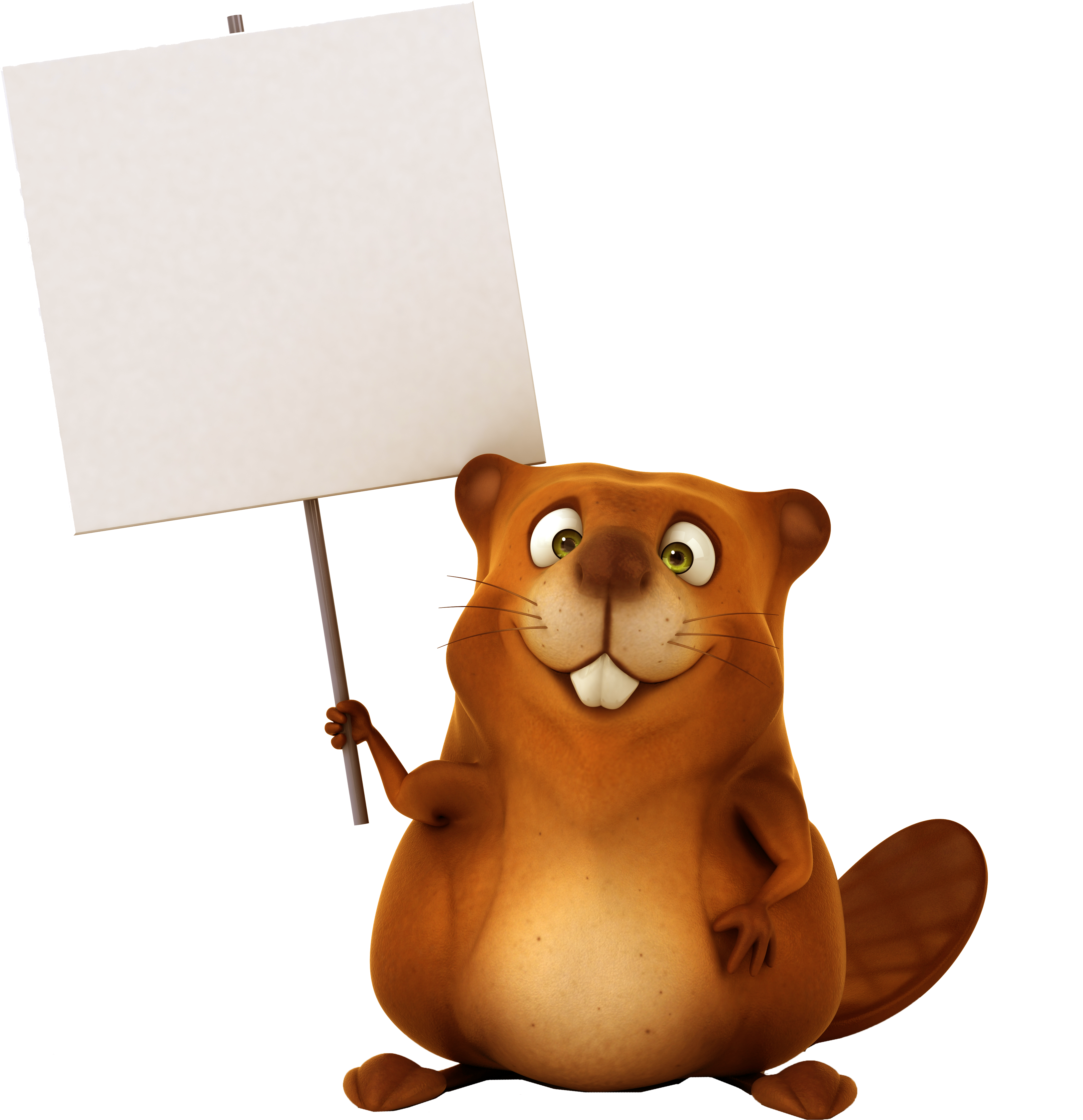 Beaver Stock Photography Royalty-free Icon - Beaver Stock Photography Royalty-free Icon (4737x4833)