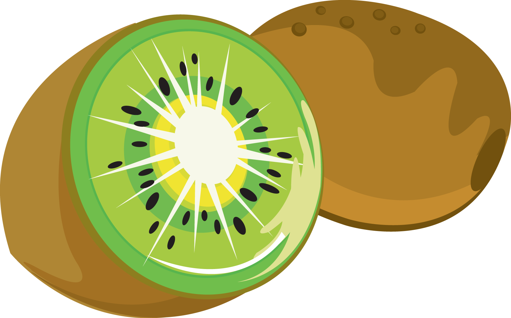 Kiwi Clip Art - Kiwi Clipart Png (1775x1104)