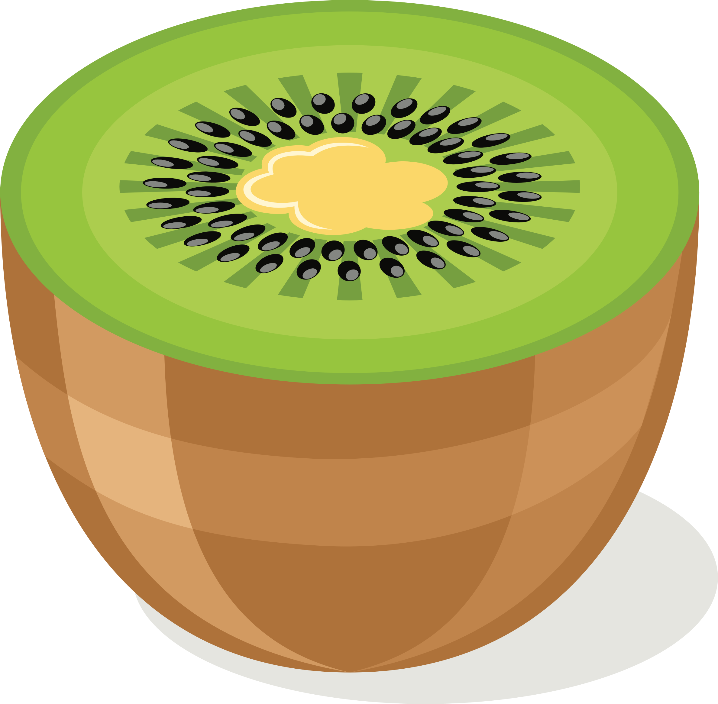 Big Image - Kiwifruit (2376x2330)