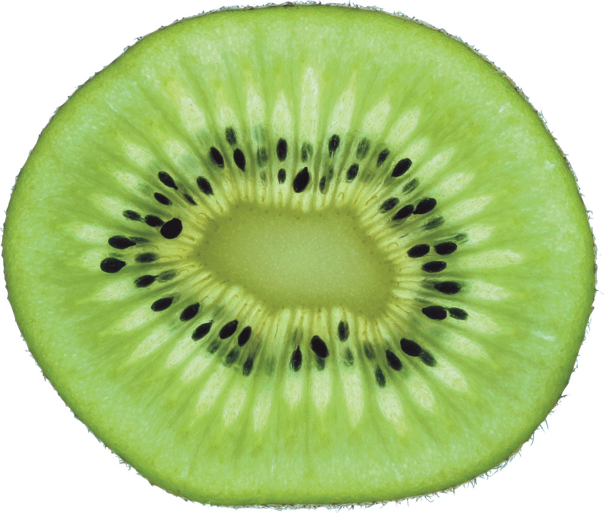 Kiwi Clipart Transparent - Bucket Hat Fruit (2005x1701)