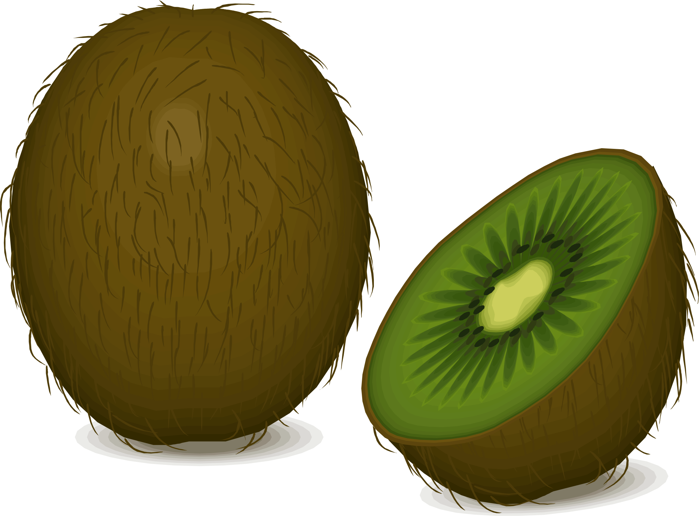 Cowboy Images Clip Art For Kids - Kiwifruit (2326x1716)