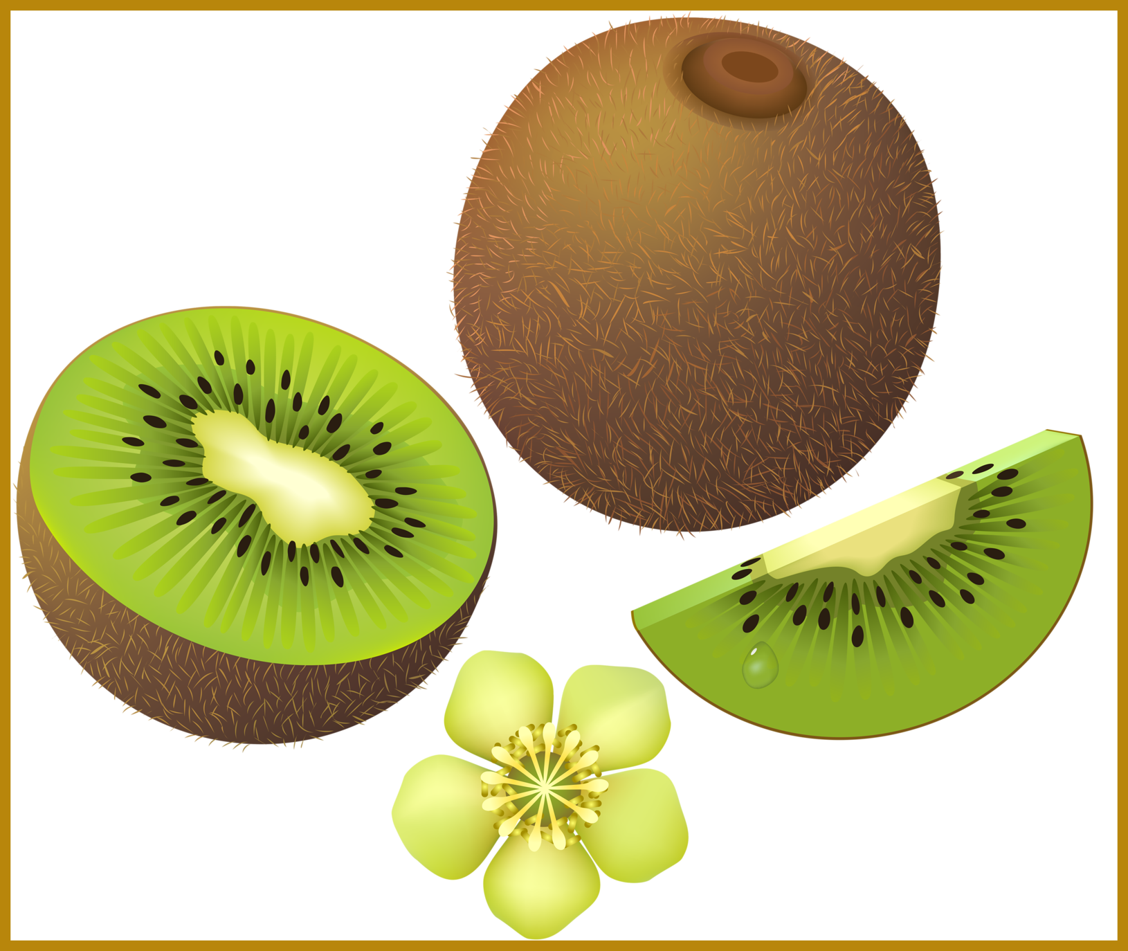 Coconut Drink Coconut Drink Clipart Png Best Png Clip - Vector Graphics (1630x1374)