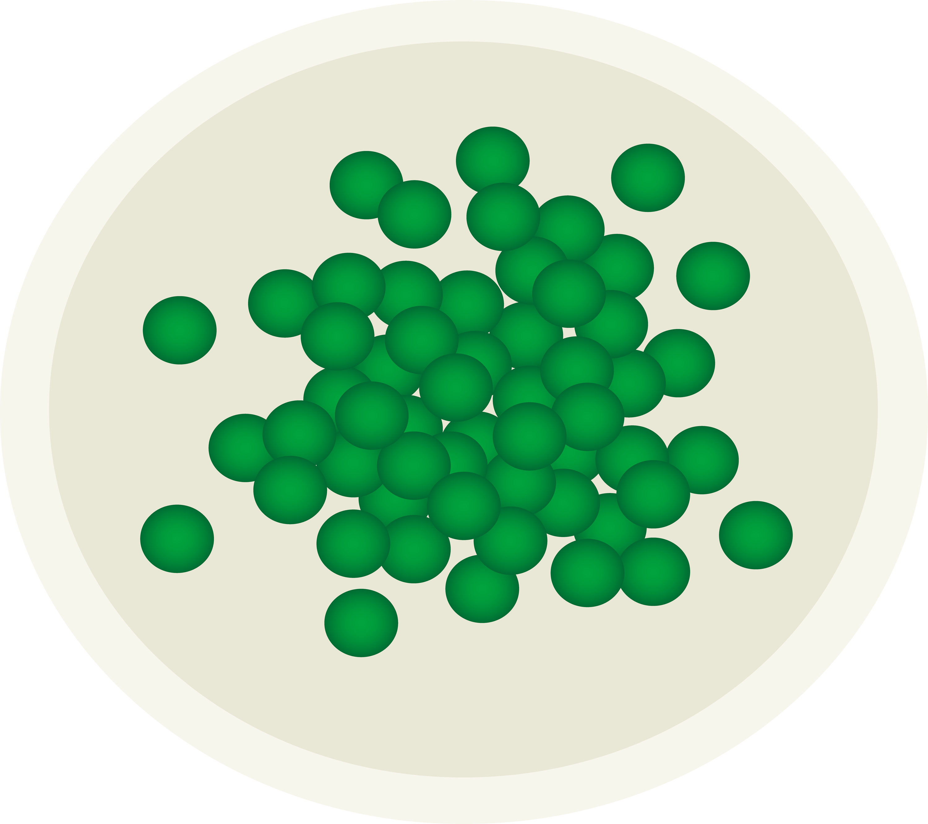 Plate Clipart Green - Peas Clip Art (3000x2664)