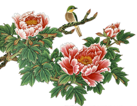 Bd-88 - Chinese Hd Painting Flowers (471x364)